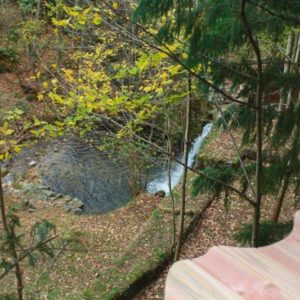 vue-bois-et-riviere-terrasse-cabane