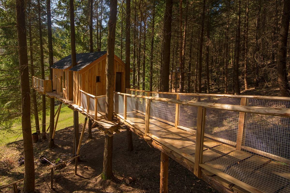 Construire une cabane dans les arbres – sst concepts